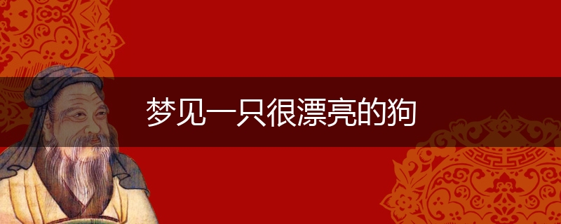 梦见一只很漂亮的狗