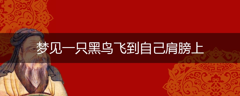 梦见一只黑鸟飞到自己肩膀上