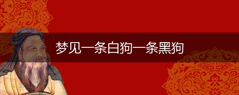 梦见一条白狗一条黑狗