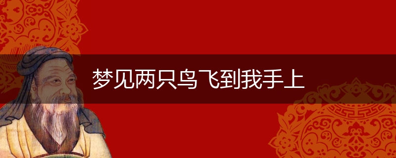 梦见两只鸟飞到我手上