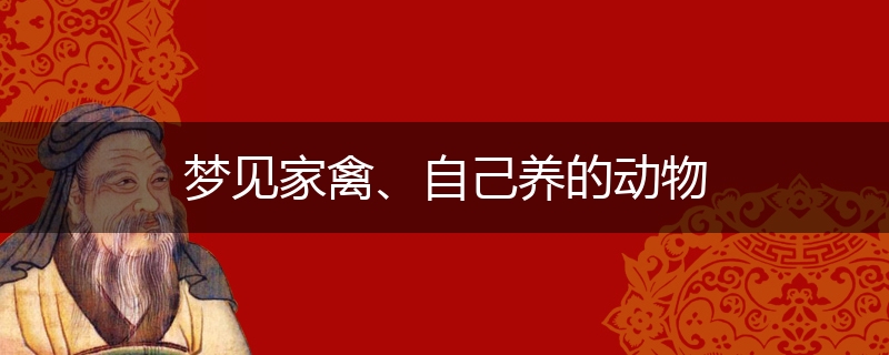 梦见家禽、自己养的动物