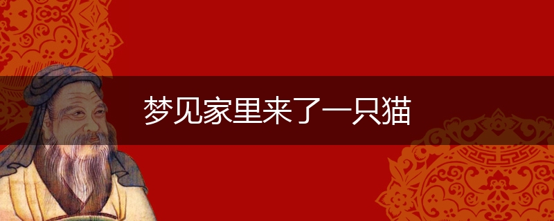 梦见家里来了一只猫