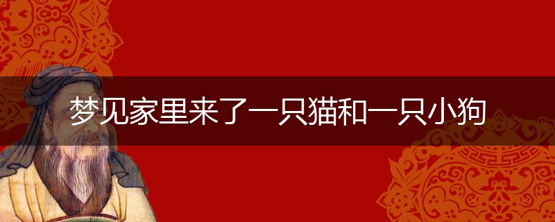 梦见家里来了一只猫和一只小狗