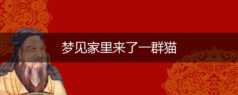 梦见家里来了一群猫