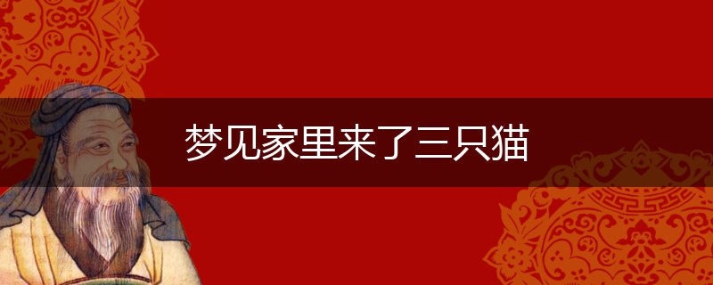 梦见家里来了三只猫