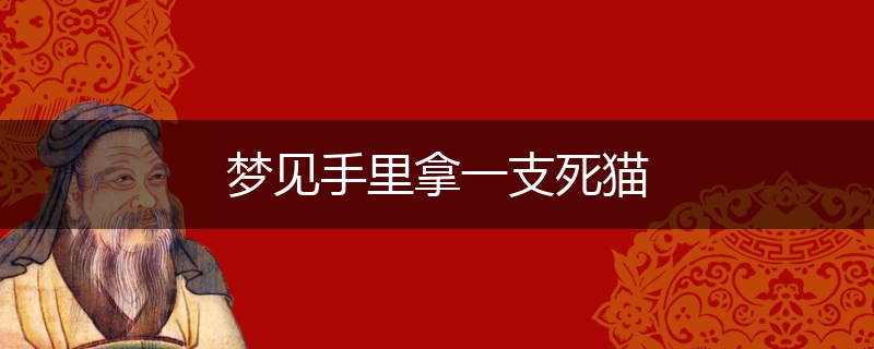 梦见手里拿一支死猫