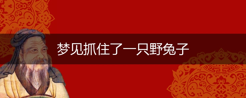 梦见抓住了一只野兔子