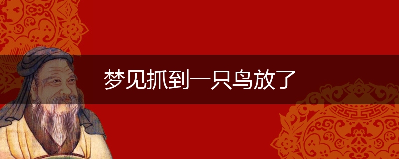 梦见抓到一只鸟放了