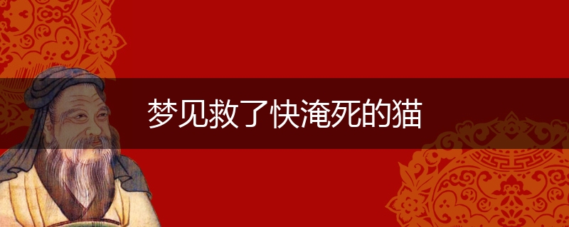 梦见救了快淹死的猫