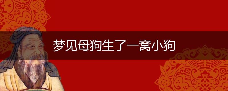 梦见母狗生了一窝小狗