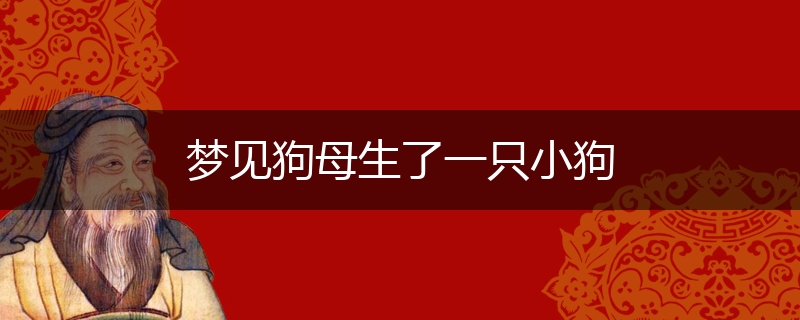 梦见狗母生了一只小狗