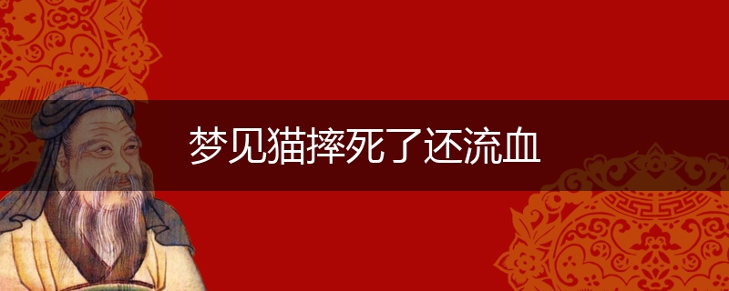 梦见猫摔死了还流血