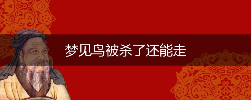 梦见鸟被杀了还能走