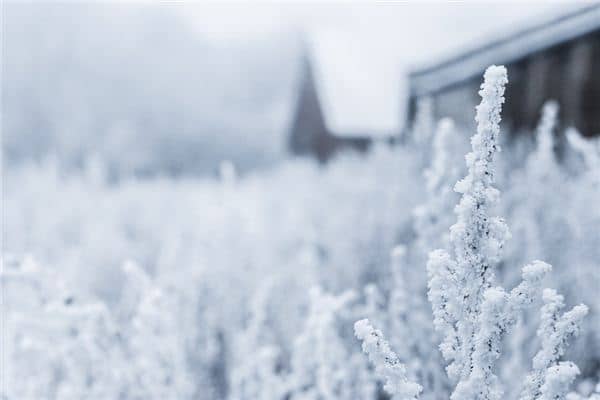 梦见冰雪是什么意思