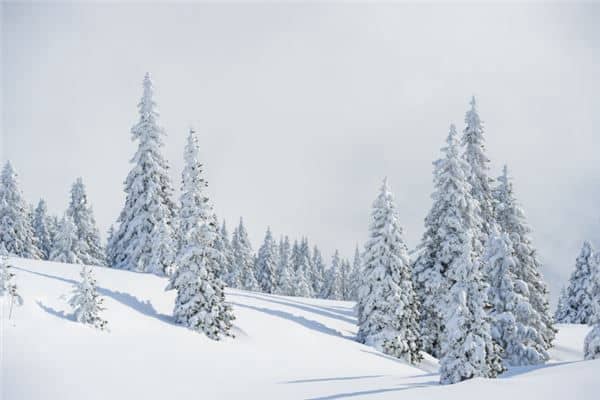 梦见六月下雪