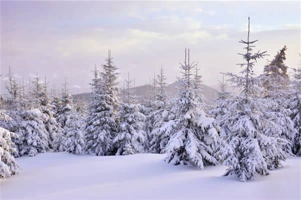 梦见下雪