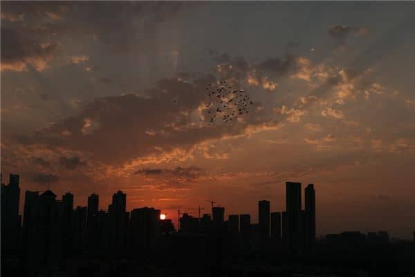 梦见夜空