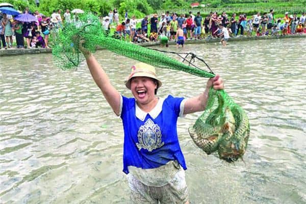 梦见涨水抓鱼