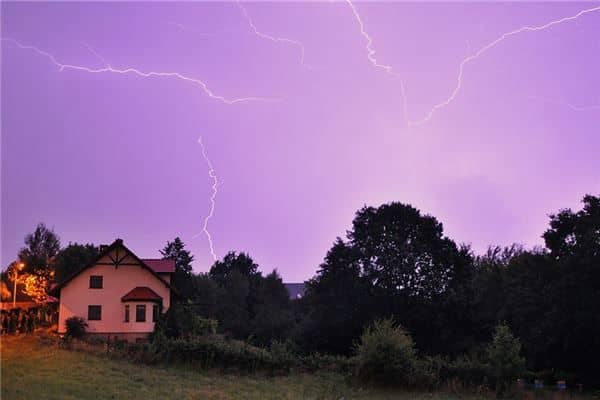 梦见雷劈树