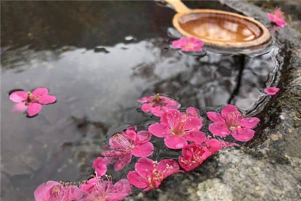 梦见大水池