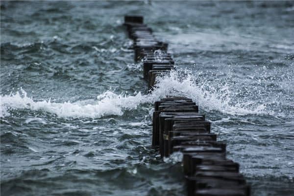 梦见涨大水淹田地