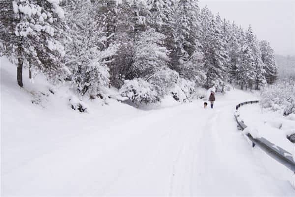 梦见满地的雪