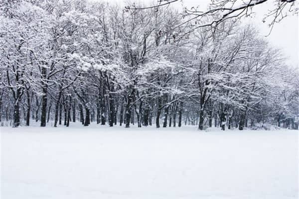 梦见狂风暴雪