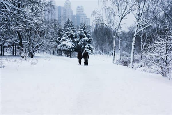 梦见一片雪地