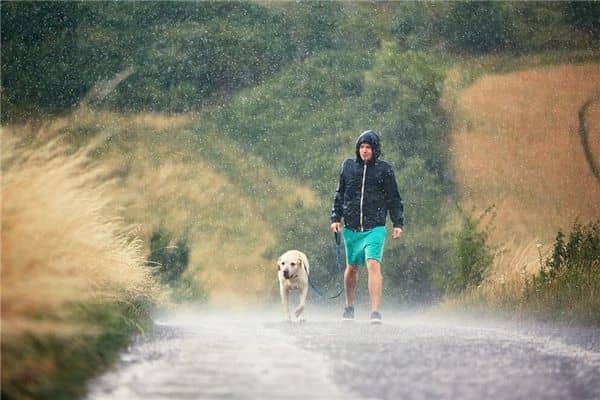 梦见我在雨中跑