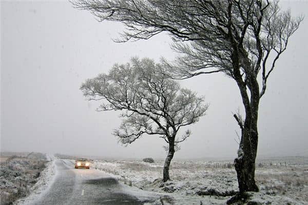 梦见雪地开车是什么意思