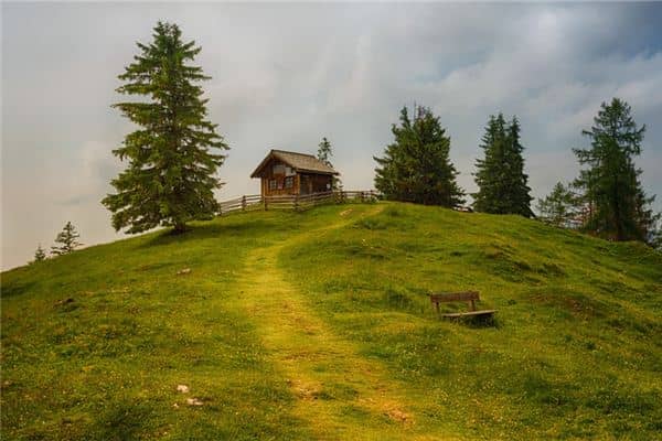 梦见满山青草是什么意思