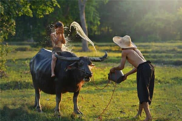 梦见被水淋湿是什么意思