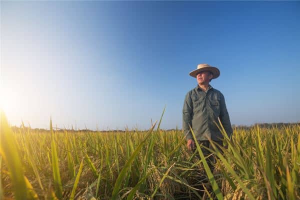 梦见已故的爸爸又去世是什么意思