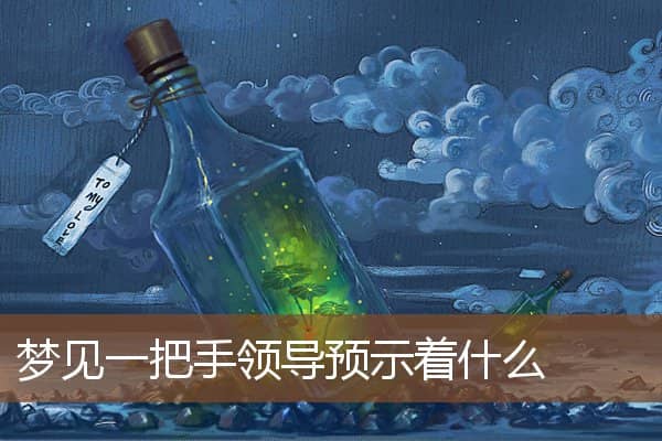 梦见一把手领导是什么意思