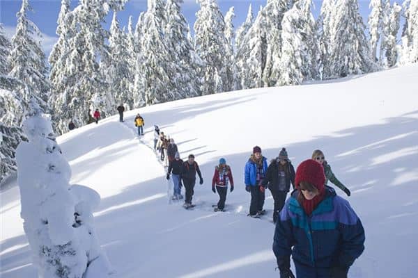 梦见雪地里走路是什么意思