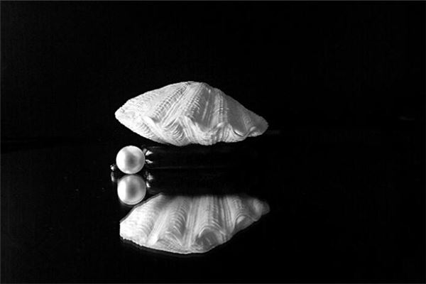 梦见珍珠蚌是什么意思