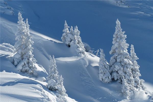 梦见积雪很厚是什么意思