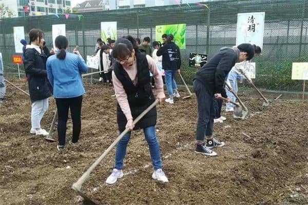 梦见挖地松土是什么意思