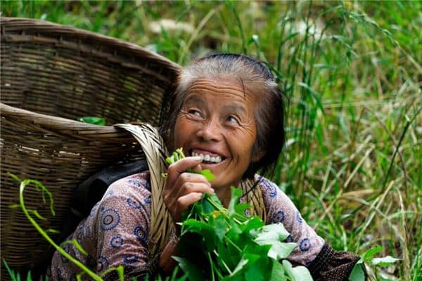 梦见已婚女人挖野菜是什么意思