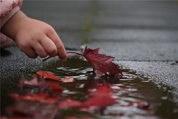 梦见地上有水是什么意思