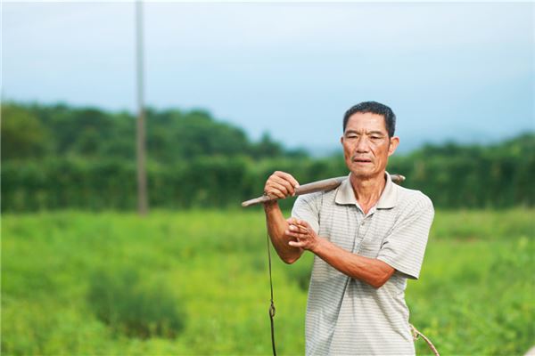 梦见用扁担挑两桶水是什么意思