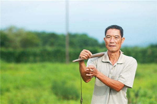 梦见挑大粪是什么意思