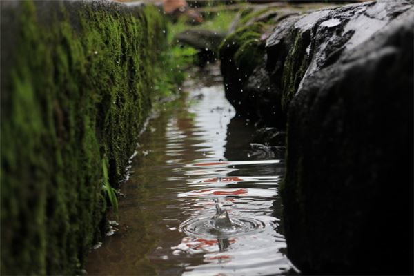 梦见跨过水沟是什么意思