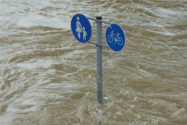 梦见大雨水淹马路是什么意思