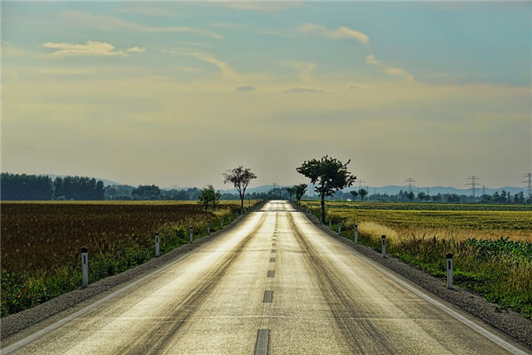 梦见公路是什么意思