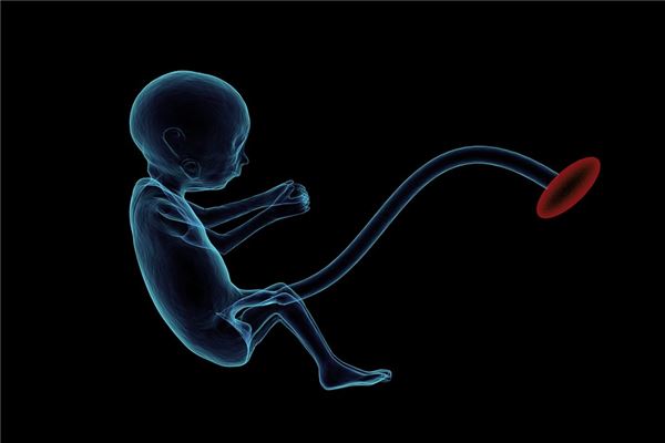 梦见流产出来的小胎儿是什么意思