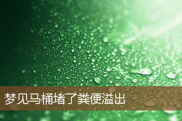 梦见马桶堵了粪便溢出是什么意思