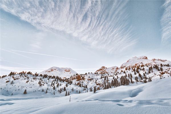 梦见白雪是什么意思