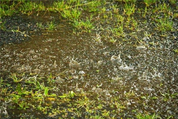 梦见下雨天是什么意思