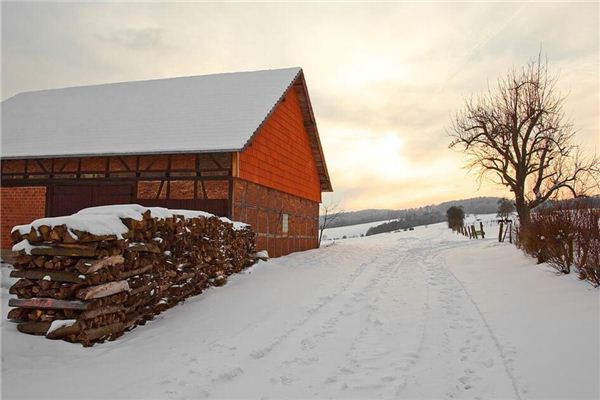 梦见屋顶有积雪是什么意思